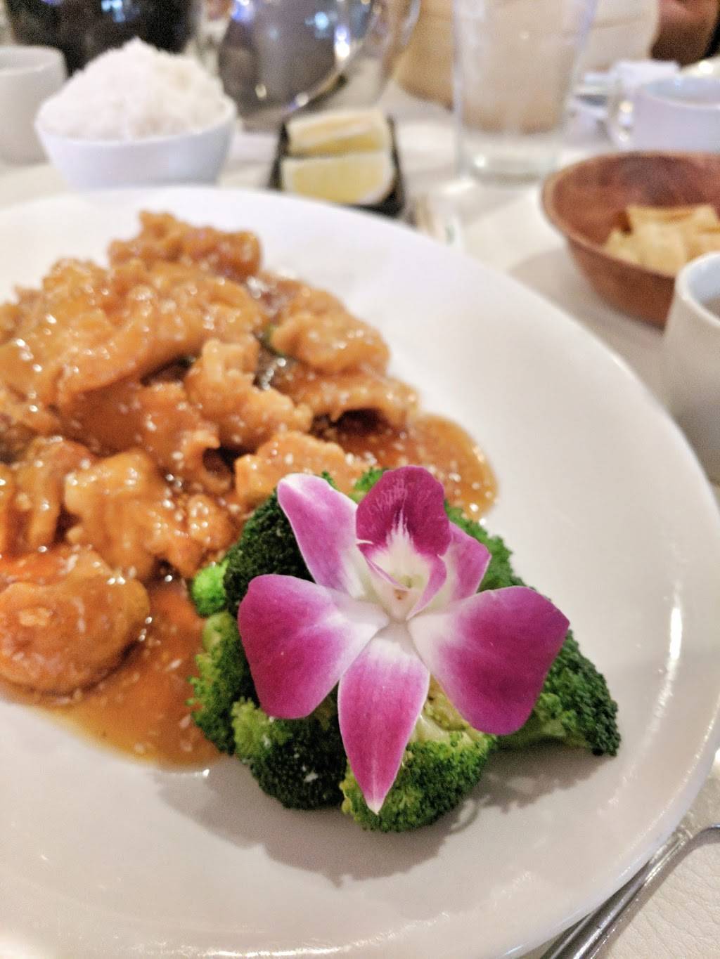 Shun Lee Palace | restaurant | 4340 Colwick Rd, Charlotte, NC 28211, USA | 7043662025 OR +1 704-366-2025