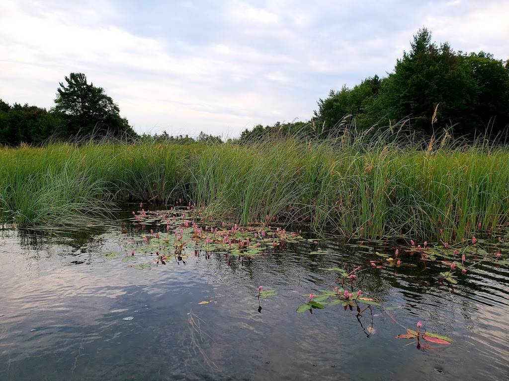 Riverside Canoe Trips | restaurant | 5042 N Scenic Hwy, Honor, MI 49640, USA | 2313255622 OR +1 231-325-5622
