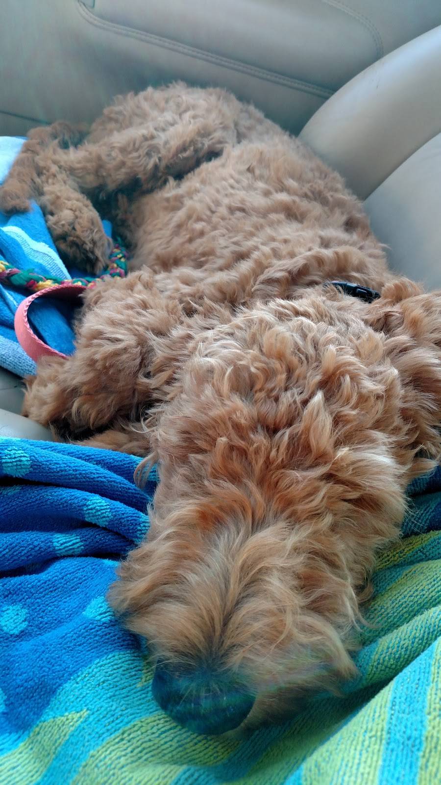 Jimmy Johns | meal delivery | 3428 Plainfield Ave NE, Grand Rapids, MI 49525, USA | 6163659300 OR +1 616-365-9300