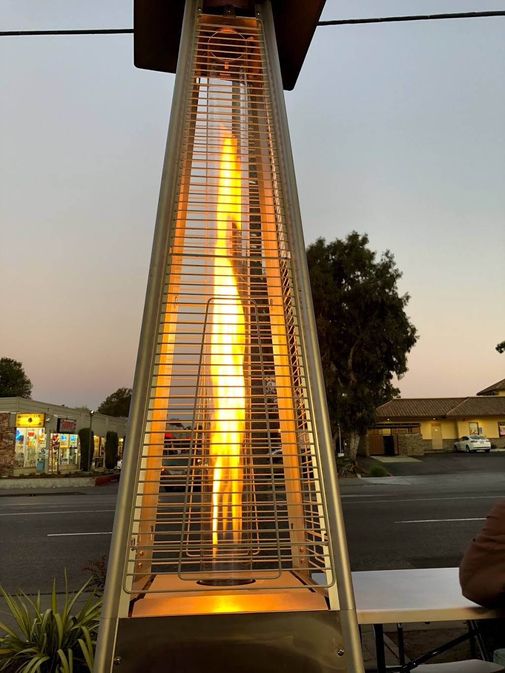 The Everest Momo | restaurant | 1205 W El Camino Real, Sunnyvale, CA 94087, USA | 4088406369 OR +1 408-840-6369