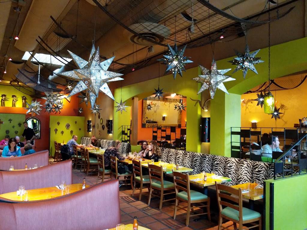 Cactus Madison Park | restaurant | 4220 E Madison St, Seattle, WA 98112, USA | 2063244140 OR +1 206-324-4140