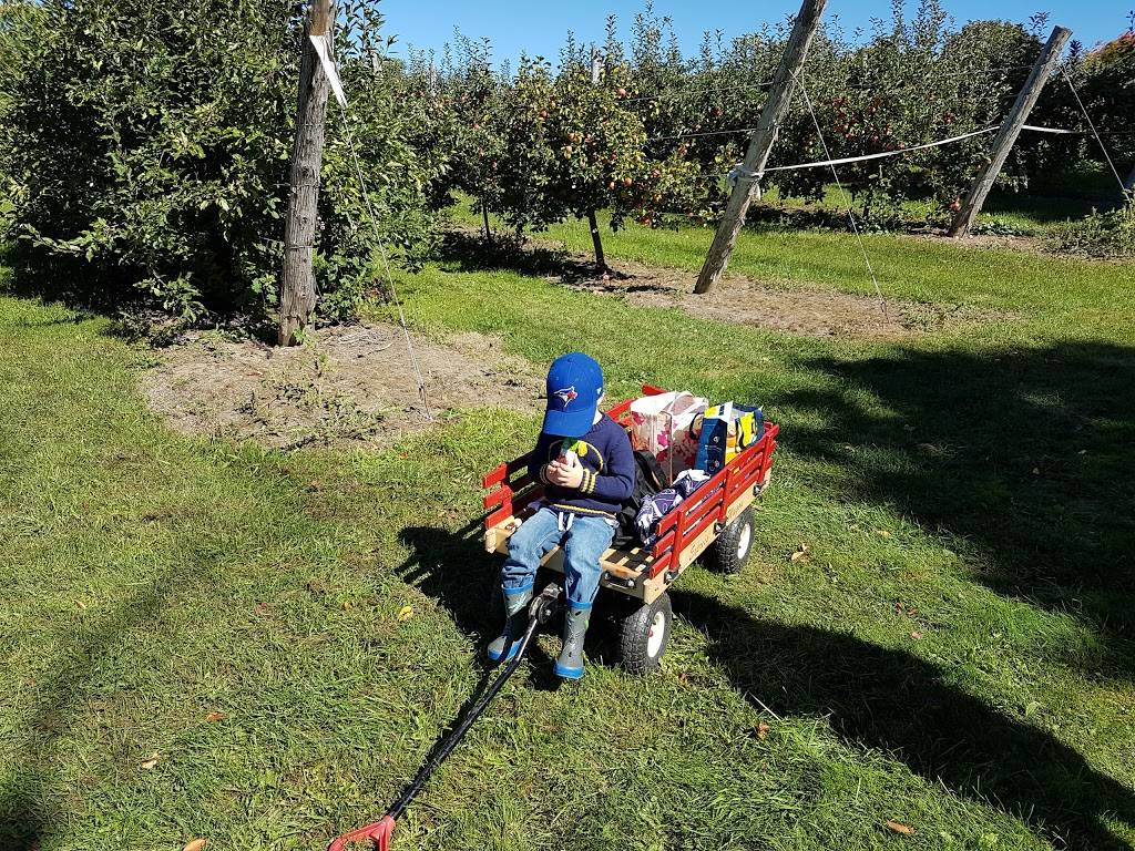 Baileyss Homestead Restaurant | restaurant | 90 Wexford Dr, Keswick, ON L4P 3P7, Canada | 9055355200 OR +1 905-535-5200