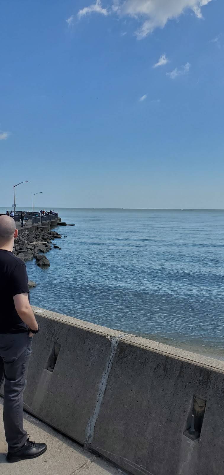 Luna Pier Beach Cafe | cafe | 4380 Luna Pier Rd, Luna Pier, MI 48157, USA | 7343177711 OR +1 734-317-7711