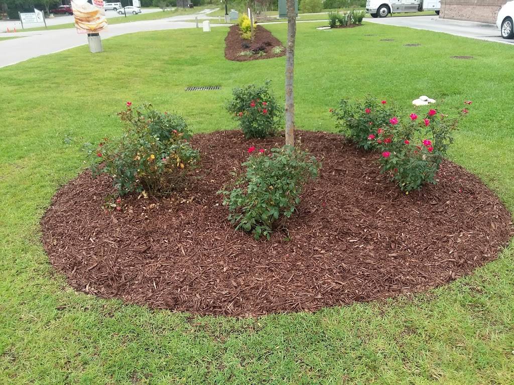 Pizza Hut | meal takeaway | 15441 US-17, Hampstead, NC 28443, USA | 9102706500 OR +1 910-270-6500