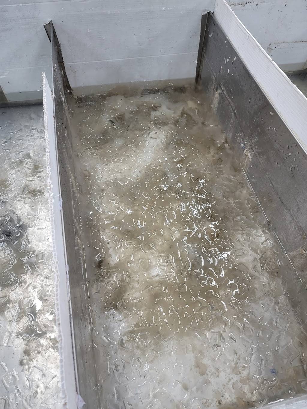 The Cuba Station | restaurant | 5001 Harrisburg Blvd, Houston, TX 77011, USA | 8322729680 OR +1 832-272-9680