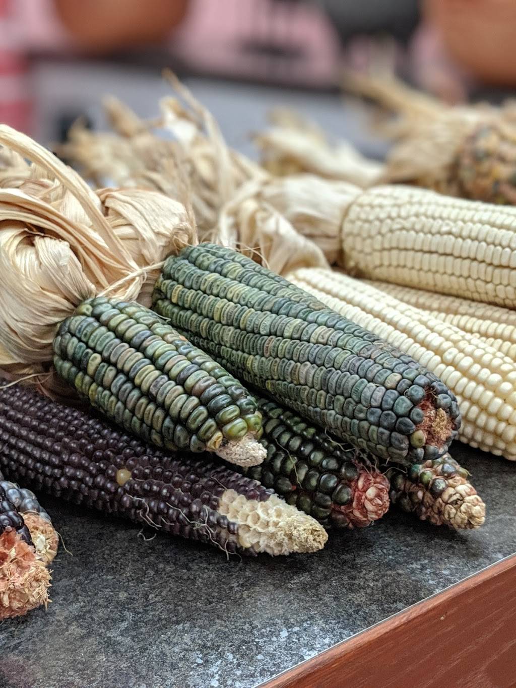 Palomas Grill | restaurant | 390 Springbank Dr, London, ON N6J 3H2, Canada | 5194881786 OR +1 519-488-1786