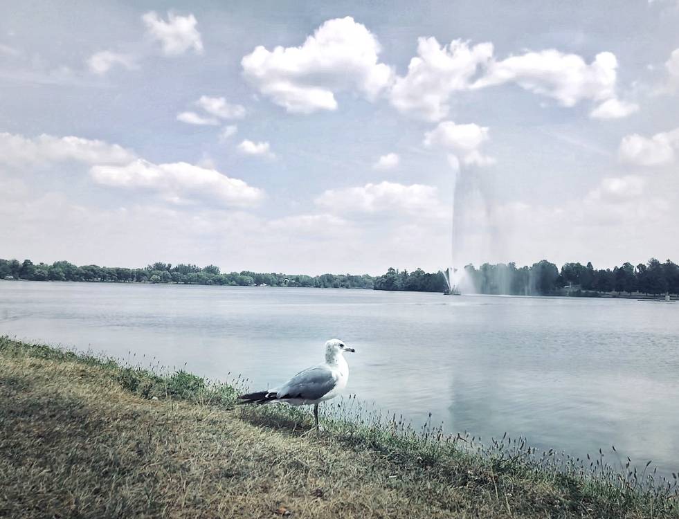 Peterborough Marina | restaurant | 92 George St N, Peterborough, ON K9J 6Y5, Canada | 7057458787 OR +1 705-745-8787