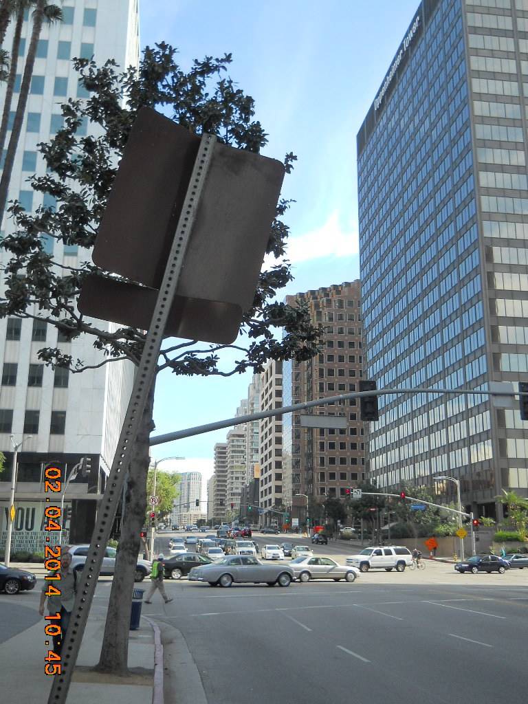 Hammer Museum | restaurant | 10899 Wilshire Blvd, Los Angeles, CA 90024, USA | 3104437000 OR +1 310-443-7000