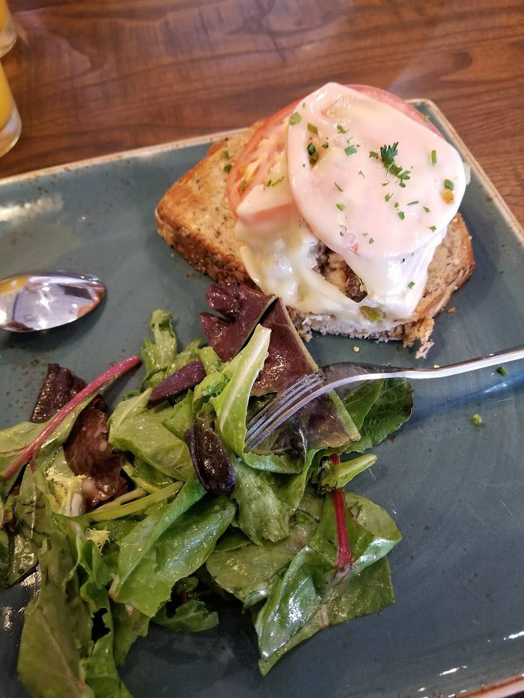 First Watch - Henderson | restaurant | 3712 Henderson Blvd, Tampa, FL 33609, USA | 8133503447 OR +1 813-350-3447