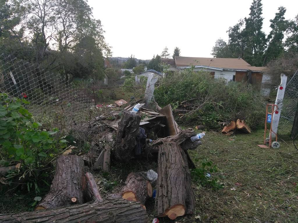 Pizza Express | restaurant | 19573 Center St, Castro Valley, CA 94546, USA | 5108863466 OR +1 510-886-3466