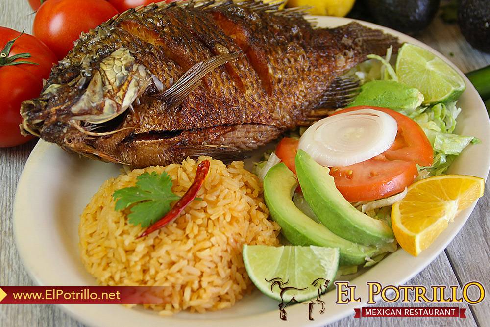 El Potrillo Mexican Restaurant | restaurant | 8465 Holcomb Bridge Rd, Alpharetta, GA 30022, USA | 6782421192 OR +1 678-242-1192