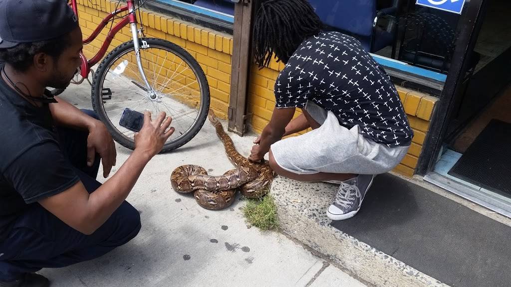 Fritaille Express | restaurant | 997 Prospect Ave, Westbury, NY 11590, USA | 5162693571 OR +1 516-269-3571