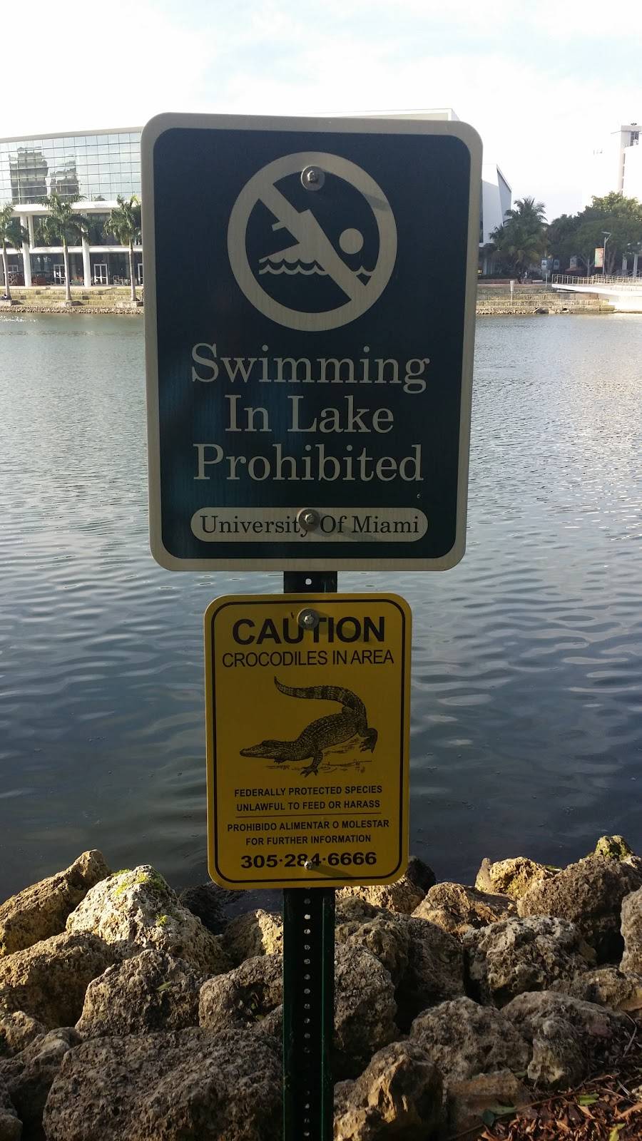 Lime Fresh Mexican Bar & Grill | restaurant | 1306 Stanford Dr, Coral Gables, FL 33146, USA | 3052845533 OR +1 305-284-5533