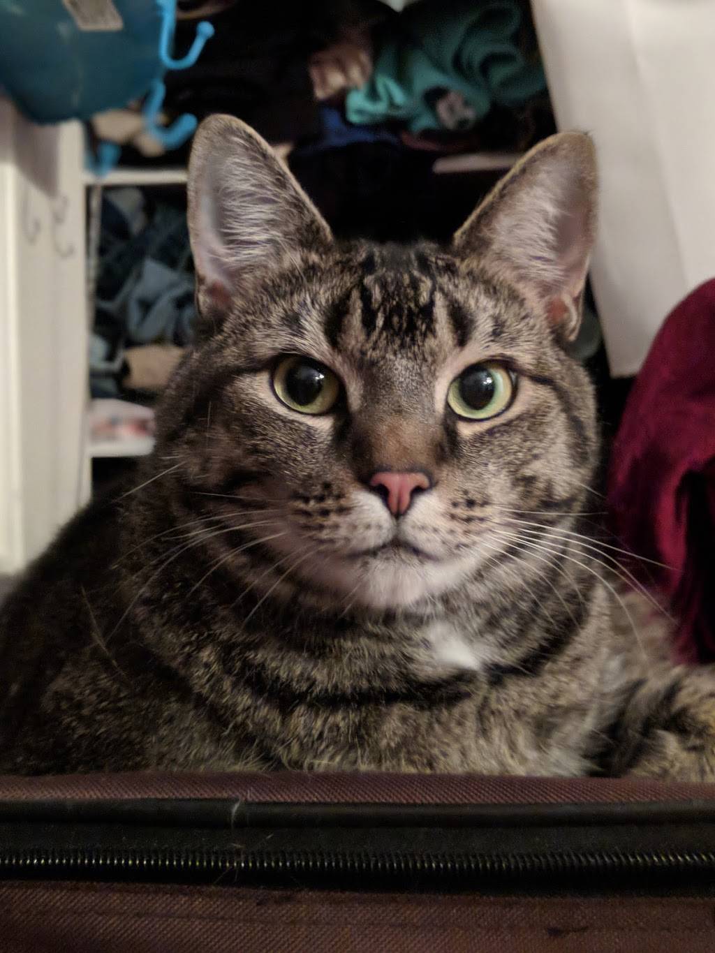 Genelles Cafe | restaurant | 1 Walker Dr, New Castle, DE 19720, USA | 3026545322 OR +1 302-654-5322