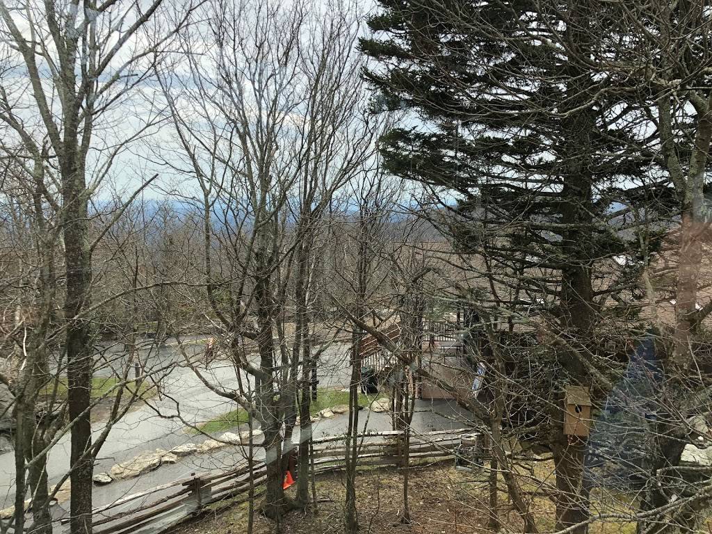 Mildreds Grill | restaurant | 1104 Grandfather Mountain Entrance Rd, Linville, NC 28646, USA | 8287331058 OR +1 828-733-1058