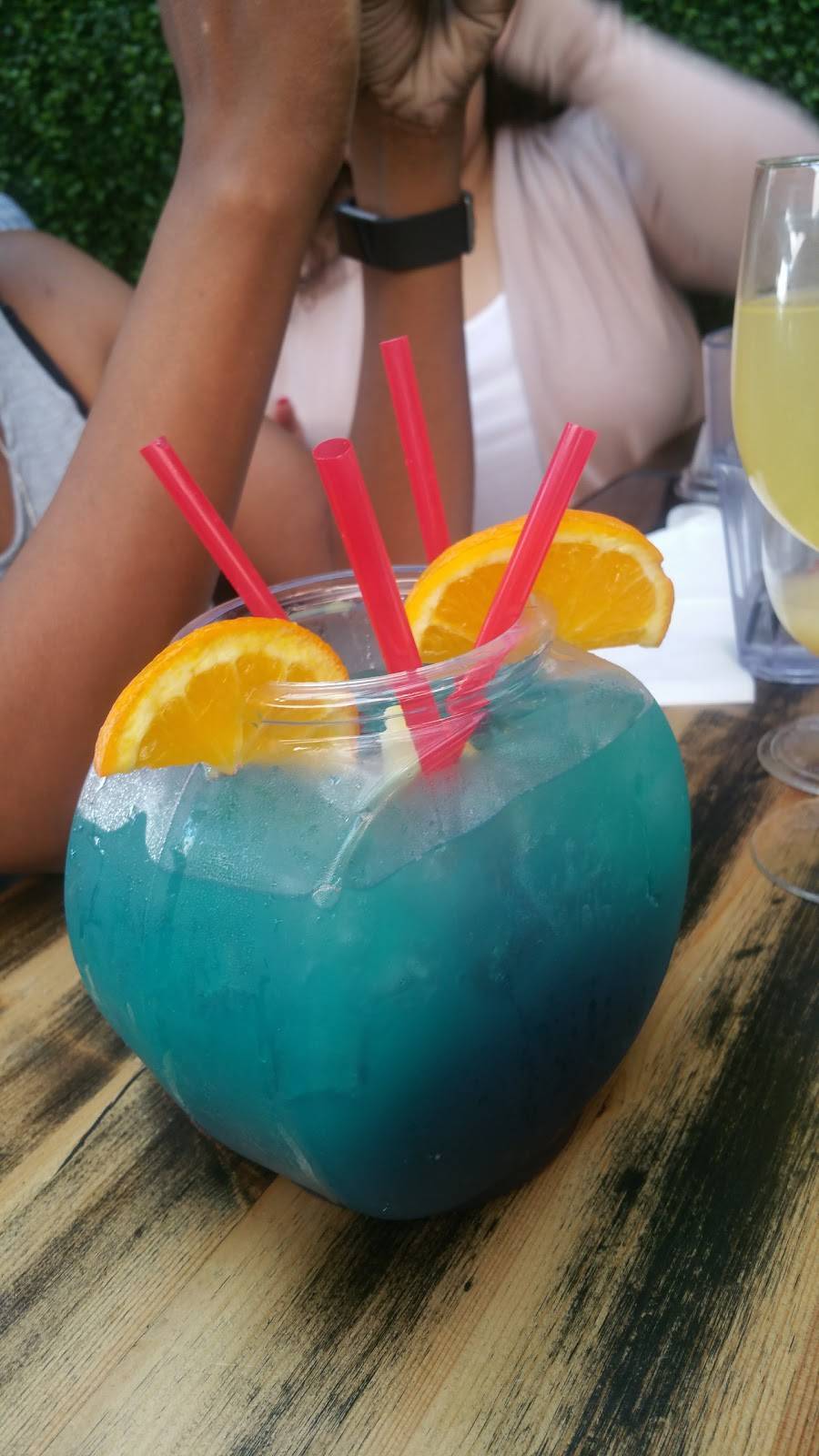 Gossip Grill | restaurant | 1220 University Ave, San Diego, CA 92103, USA | 6192608023 OR +1 619-260-8023