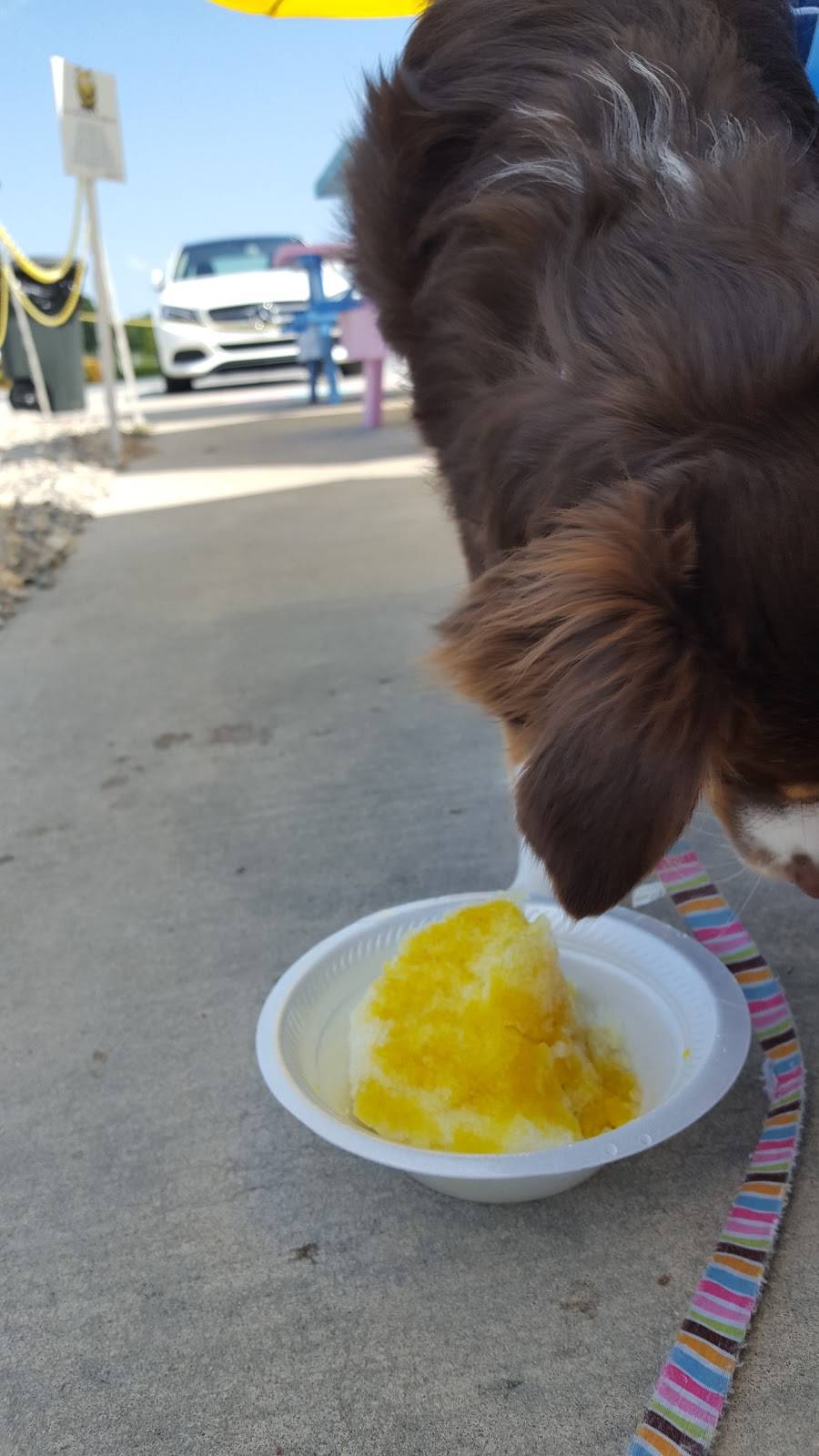 Pelicans SnoBalls | restaurant | 545 Crossroads Plaza, Fort Mill, SC 29708, USA | 8034877646 OR +1 803-487-7646