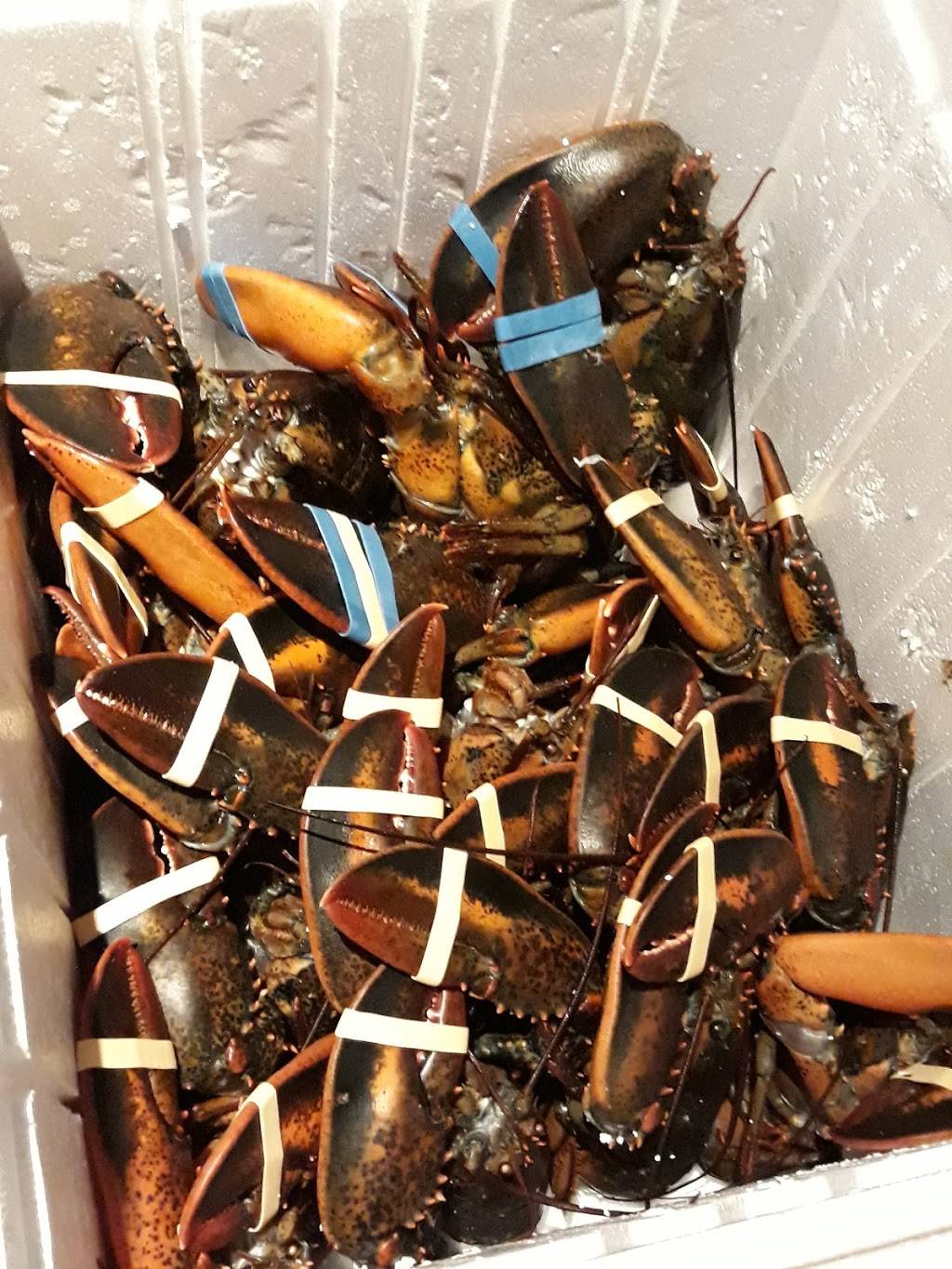 Red Lobster | restaurant | 4802 E Cactus Rd, Scottsdale, AZ 85254, USA | 6029965470 OR +1 602-996-5470