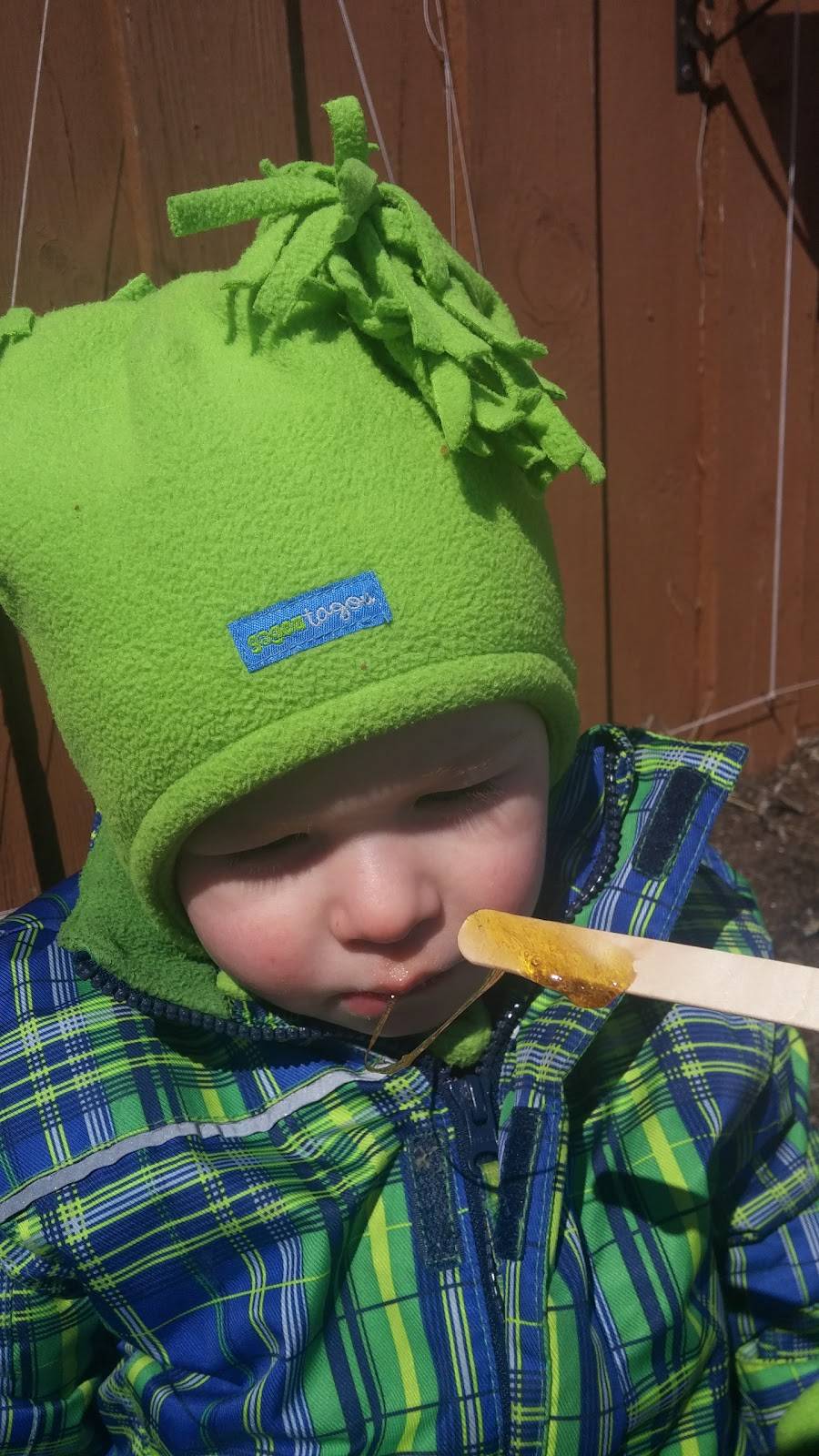 Cabane A Sucre Le Shack | restaurant | 539 Chemin de la Rivière des Fèves N, Saint-Urbain-Premier, QC J0S 1Y0, Canada | 4504273776 OR +1 450-427-3776