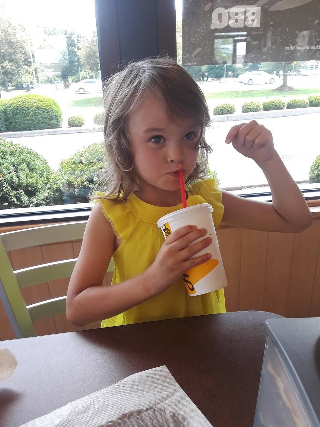 Hardees | restaurant | 50 Greentree Dr, Dover, DE 19904, USA | 3026748335 OR +1 302-674-8335