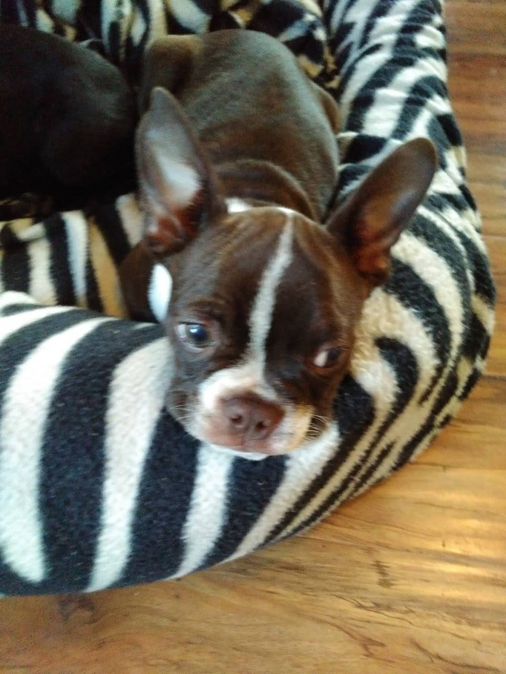 Fireside - Arnold Stove & Fireplace |  | 917 Arnold Commons Dr, Arnold, MO 63010, USA | 6362820300 OR +1 636-282-0300