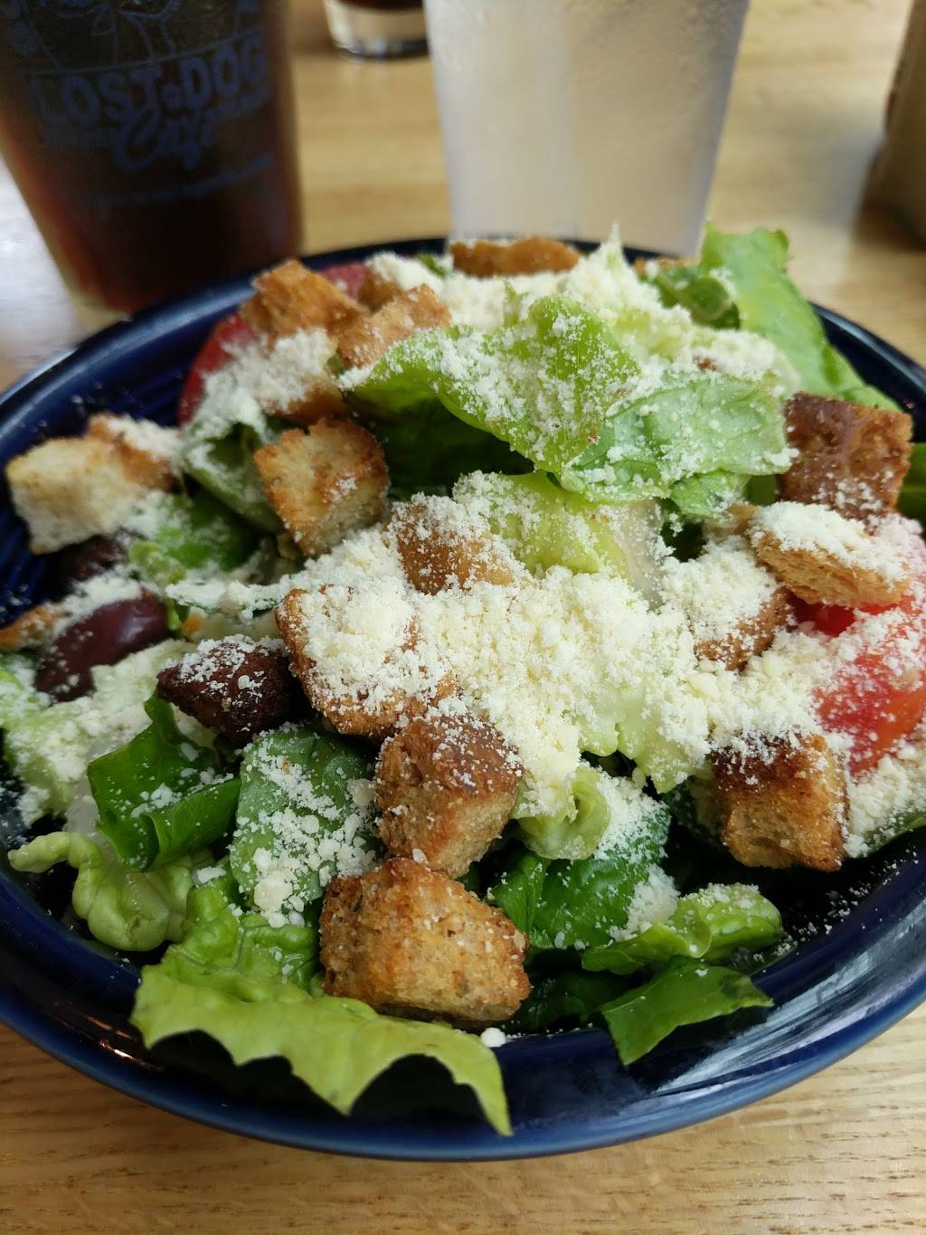 Lost Dog Cafe - Alexandria | restaurant | 808 N Henry St, Alexandria, VA 22314, USA | 5719706511 OR +1 571-970-6511