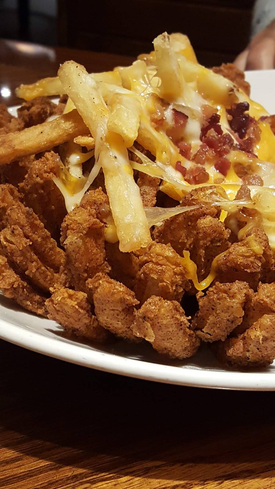 Outback Steakhouse | restaurant | 3700 S US Hwy 41, Terre Haute, IN 47802, USA | 8122326283 OR +1 812-232-6283