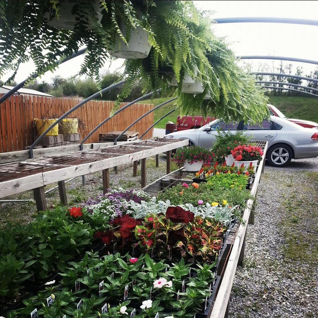 Harbisons Country Market | restaurant | IL-34, Herod, IL 62947, USA | 6182642091 OR +1 618-264-2091