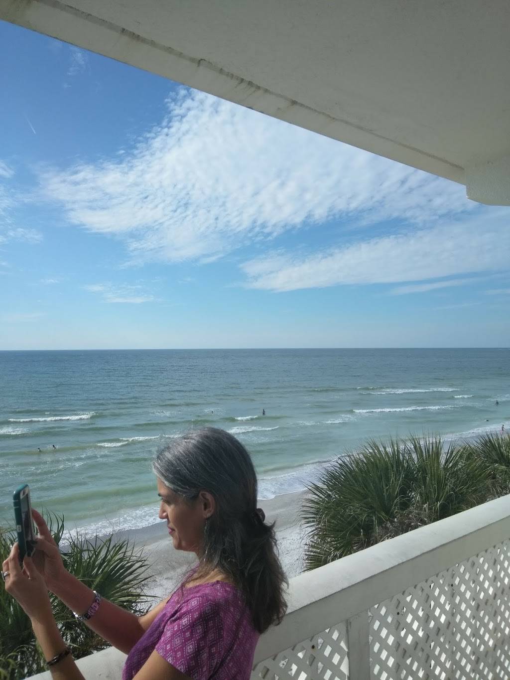 Sand Dollar Restaurant | restaurant | 233 Benjamin Franklin Dr, Sarasota, FL 34236, USA | 9413885555 OR +1 941-388-5555