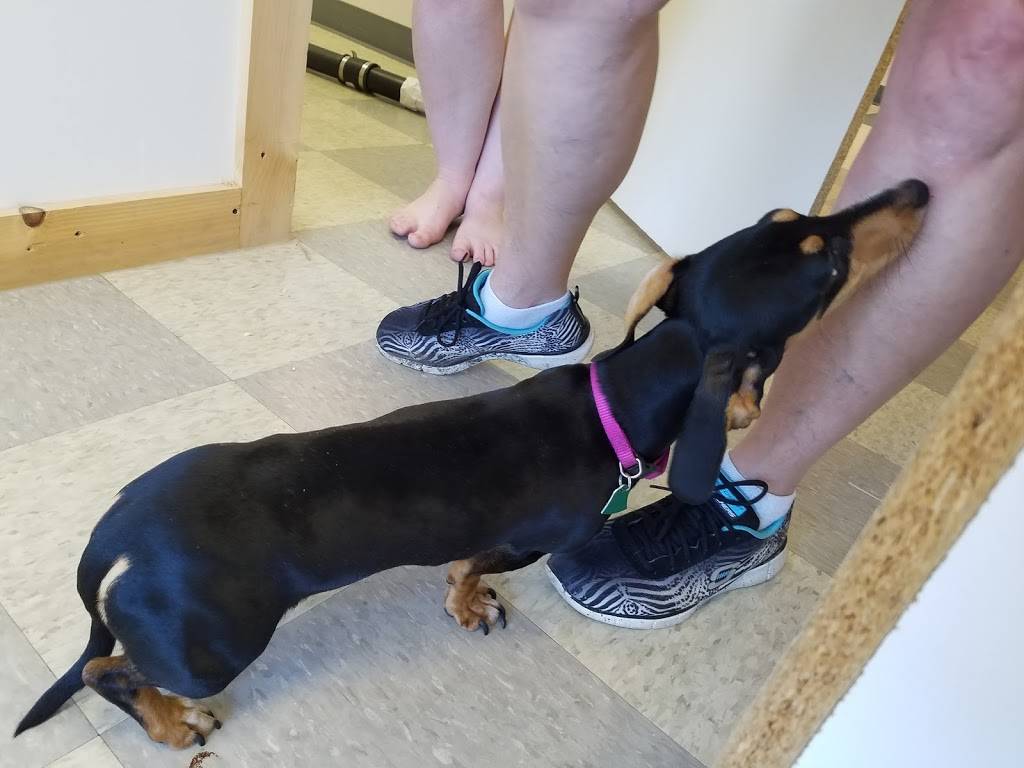 China Top | restaurant | 93 Sugarloaf Ave, Conyngham, PA 18219, USA | 5707885699 OR +1 570-788-5699