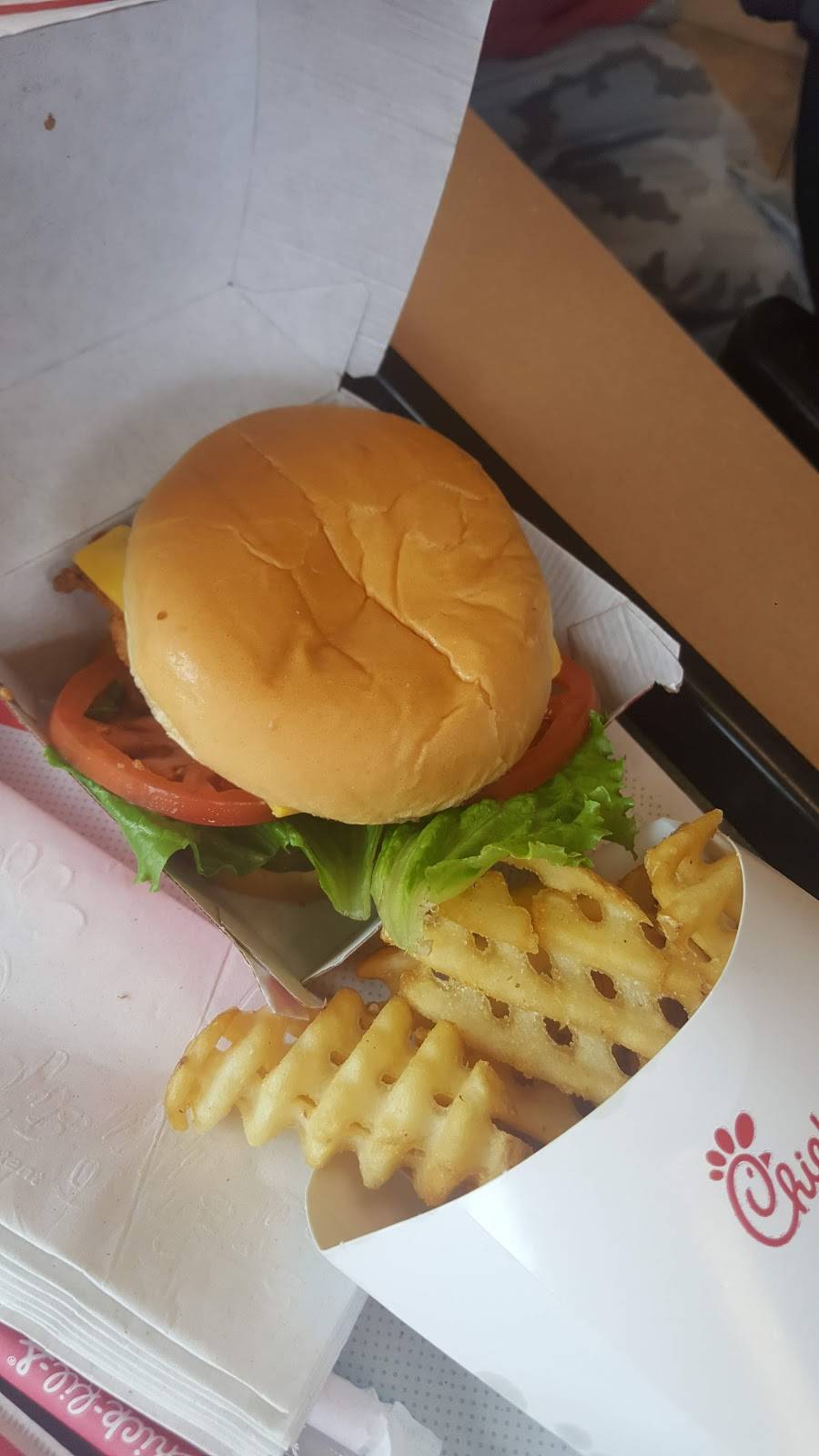 Chick-fil-A | restaurant | 17240 US-441, Mt Dora, FL 32757, USA | 3523850046 OR +1 352-385-0046