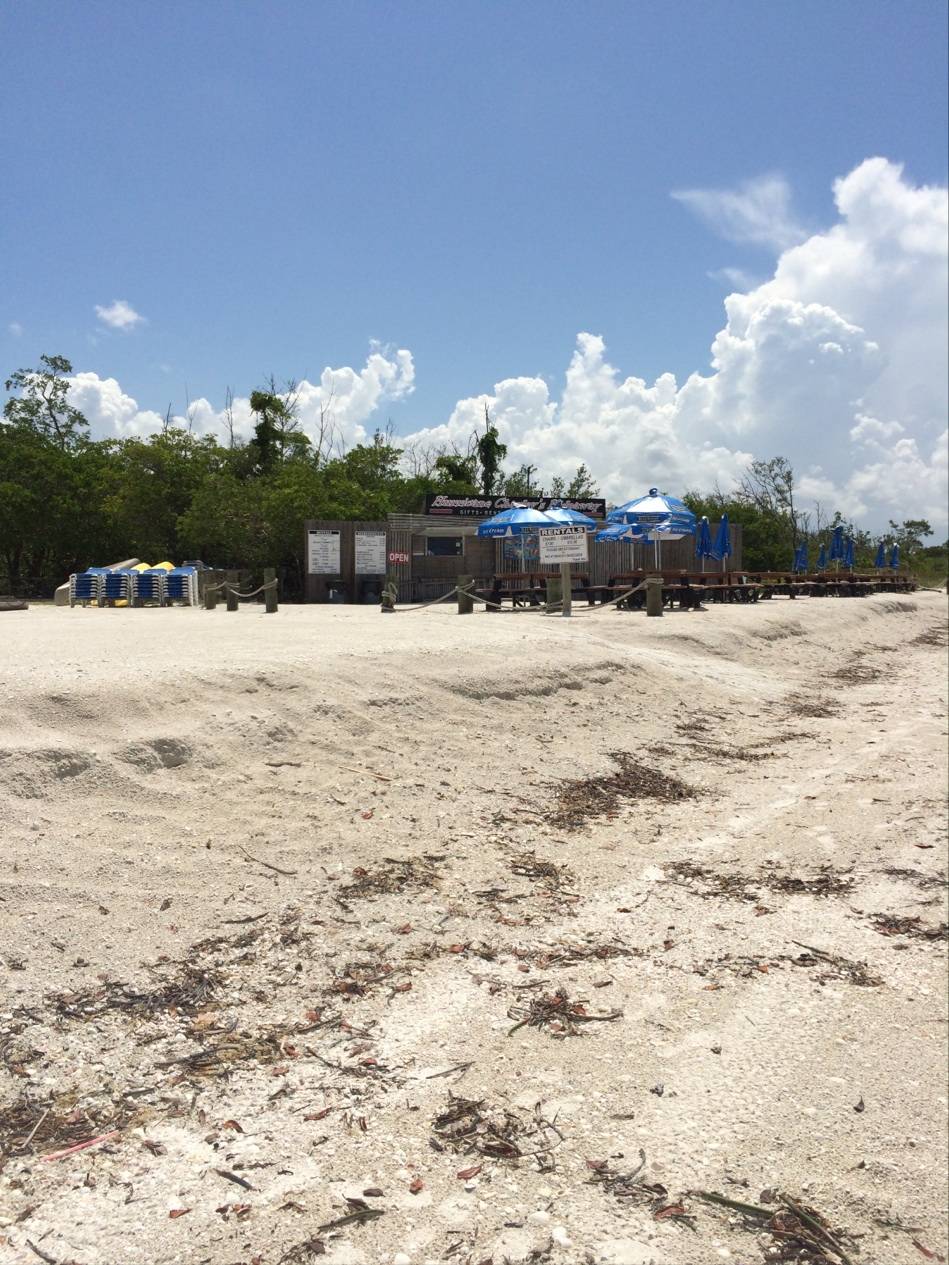 Hurricane Charlies | meal takeaway | 8720 Estero Blvd, Fort Myers Beach, FL 33931, USA | 2397657788 OR +1 239-765-7788