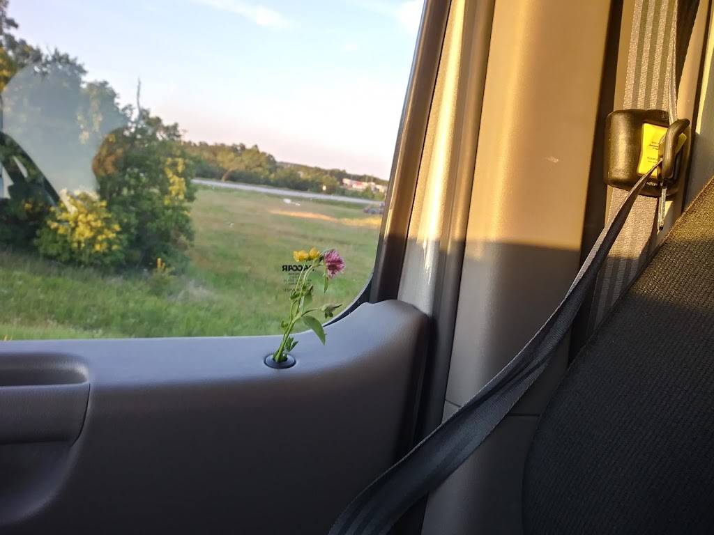 Subway | restaurant | 772 US-54 #1, Camdenton, MO 65020, USA | 5733461677 OR +1 573-346-1677