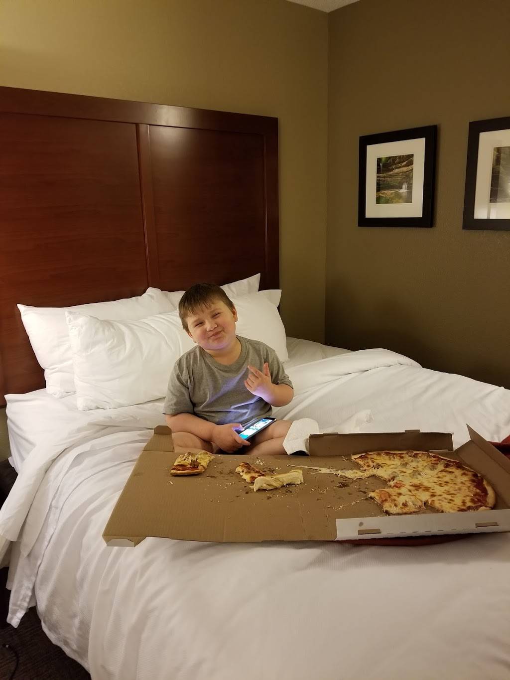 Sams Pizza | restaurant | 802 W Norris Dr, Ottawa, IL 61350, USA | 8154345690 OR +1 815-434-5690