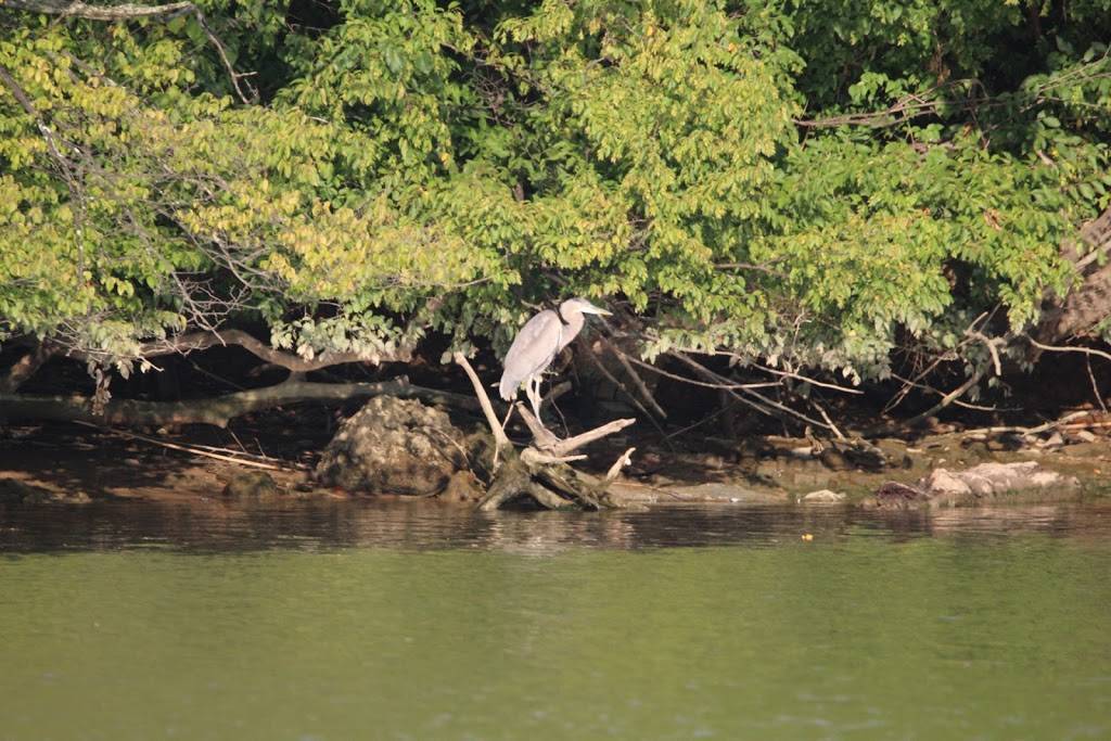 Island Time Bar & Grill | restaurant | George Washington Memorial Pkwy, Arlington, VA 22202, USA | 2023470173 OR +1 202-347-0173