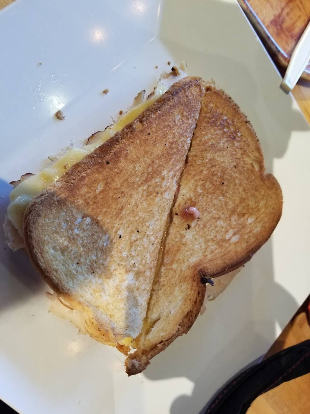 Ocean Journey Cafe | restaurant | 1 Legoland Dr, Carlsbad, CA 92008, USA | 7609185346 OR +1 760-918-5346