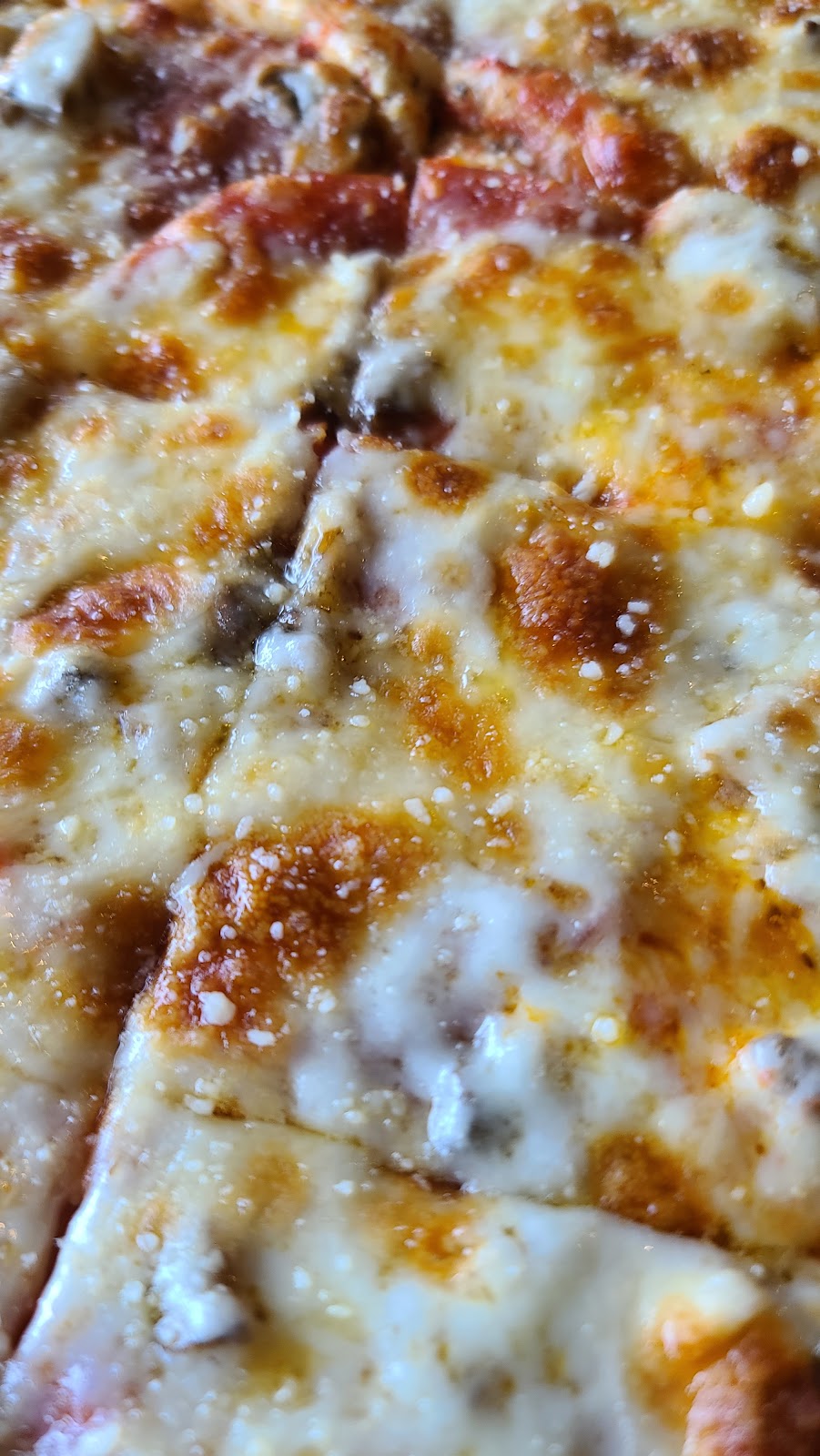 3 City Pizzeria | restaurant | 12901 McGregor Blvd #5, Fort Myers, FL 33919, USA | 2393620260 OR +1 239-362-0260