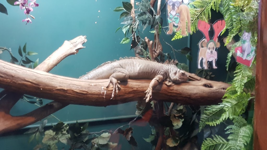 Winking Lizard Gateway | restaurant | 811 Huron Rd E, Cleveland, OH 44115, USA | 2165890313 OR +1 216-589-0313