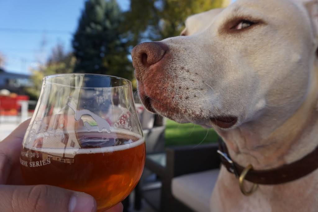 Bandera Ale Project | restaurant | 3540 TX-16, Bandera, TX 78003, USA | 8305224226 OR +1 830-522-4226