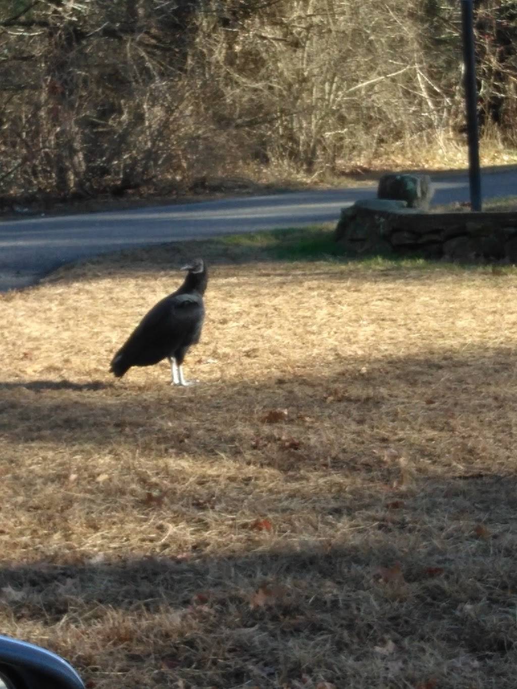 Rippys Liquor & Marketplace | meal takeaway | 4158 S County Trail, Charlestown, RI 02813, USA | 4013646711 OR +1 401-364-6711