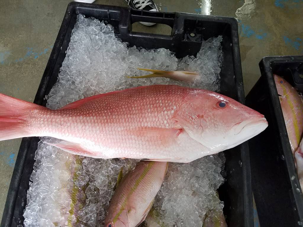 What The Fish? Rolls & More | restaurant | 90775 Old Hwy Unit #6, Tavernier, FL 33070, USA | 3054403650 OR +1 305-440-3650