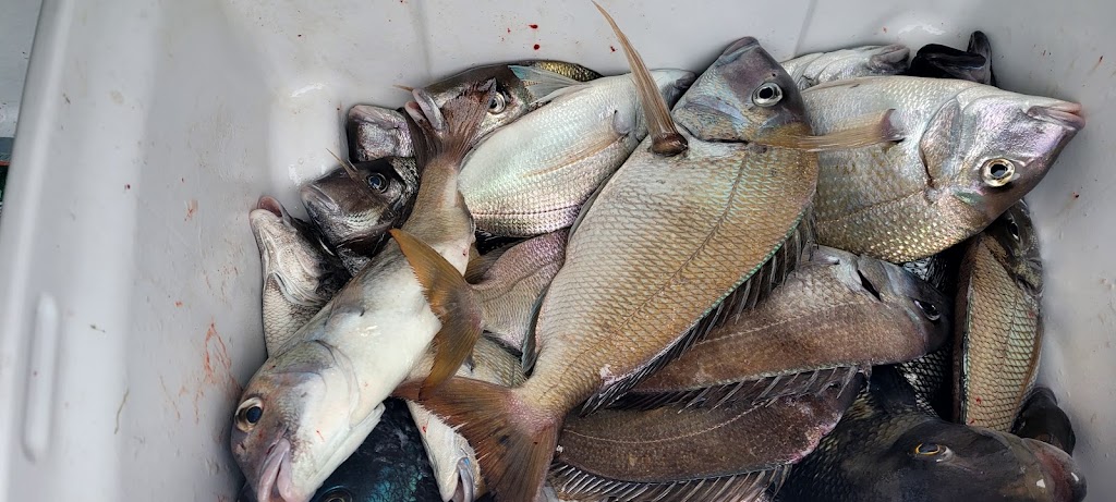 Kims Seafood | meal takeaway | 1336 Windrim Ave, Philadelphia, PA 19141, USA | 2153244828 OR +1 215-324-4828