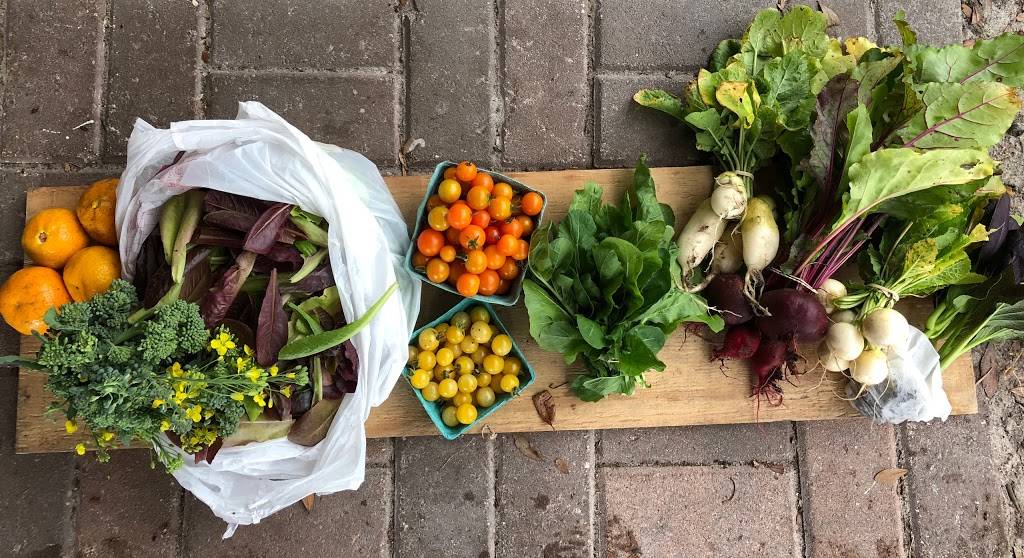 A Simpler Place Farm & Market | restaurant | 9903 Carr Rd, Riverview, FL 33569, USA | 8134241874 OR +1 813-424-1874