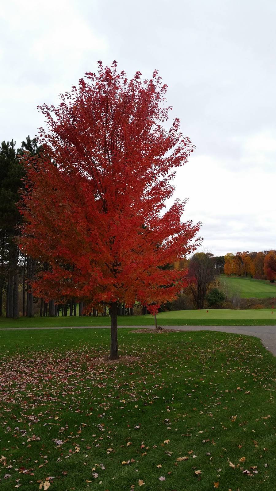 Greenwood Hills Country Club | restaurant | 2002 Poplar Ln, Wausau, WI 54403, USA | 7158482204 OR +1 715-848-2204