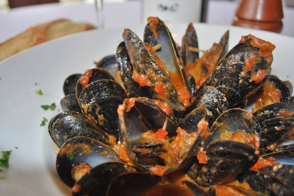 North Street Tavern & Wood Fired Pizza | restaurant | North St, White Plains, NY 10605, USA | 9144377111 OR +1 914-437-7111