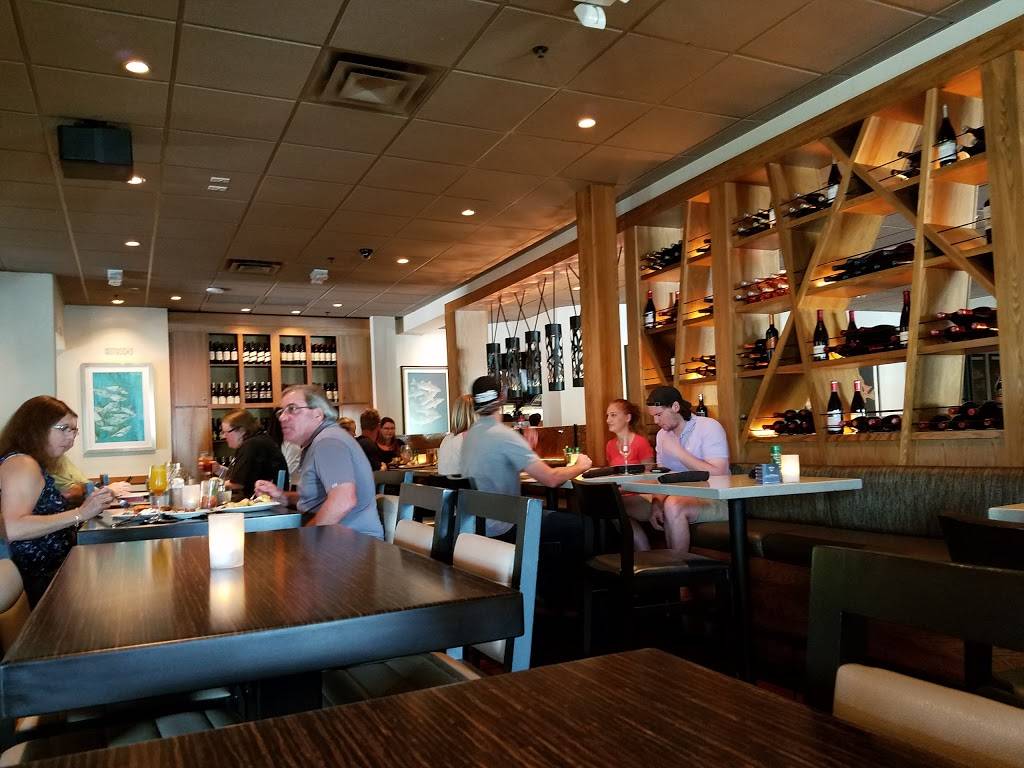 Bonefish Grill | restaurant | 5062 4th St N, St. Petersburg, FL 33703, USA | 7275213434 OR +1 727-521-3434