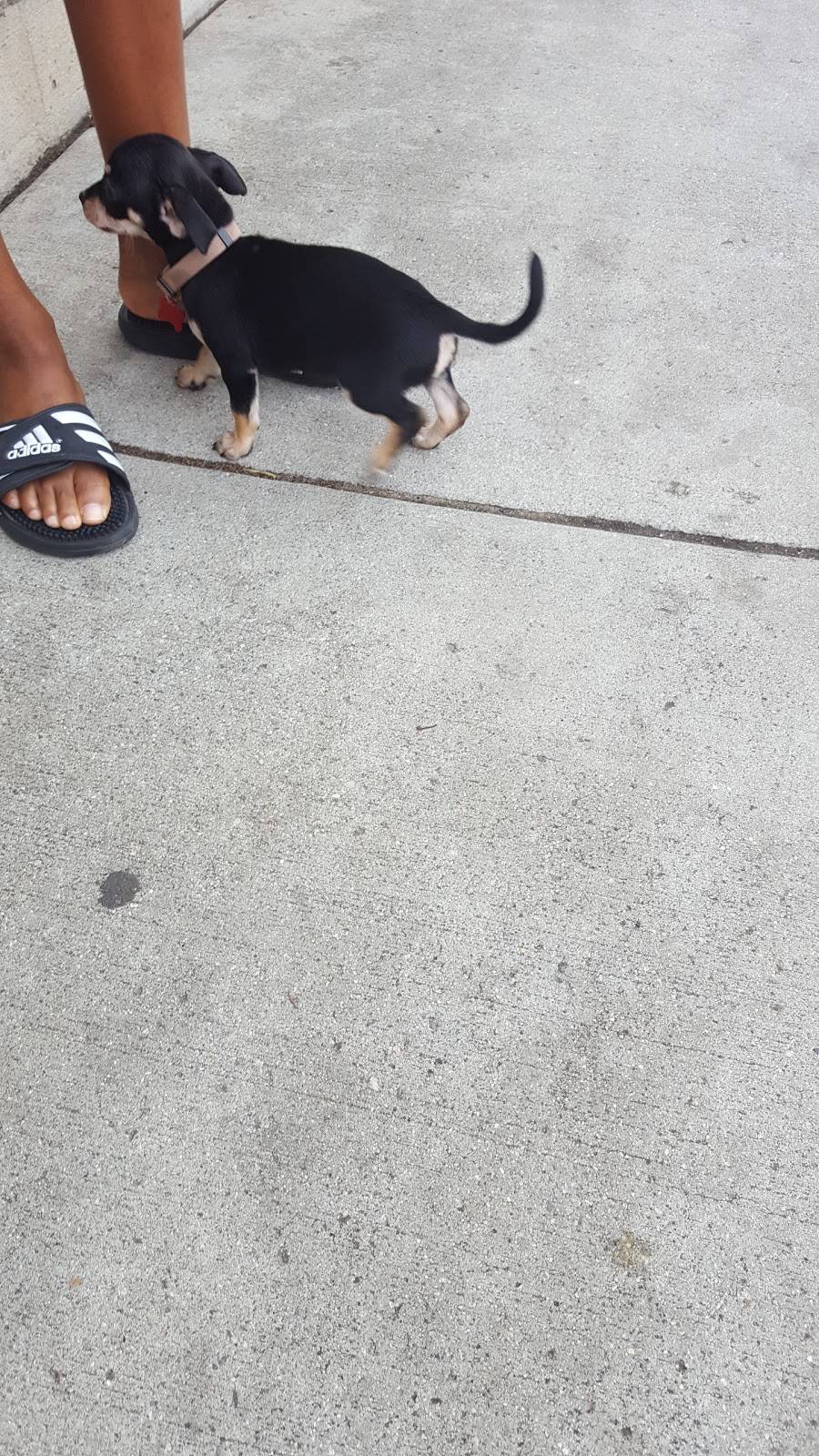 Burritos El Chavo | restaurant | 12449 Riverside Dr, North Hollywood, CA 91607, USA | 8185091071 OR +1 818-509-1071