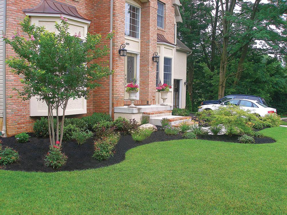 Luis landscaping | restaurant | 323 Lindley Ave, Philadelphia, PA 19120, USA | 2159004099 OR +1 215-900-4099