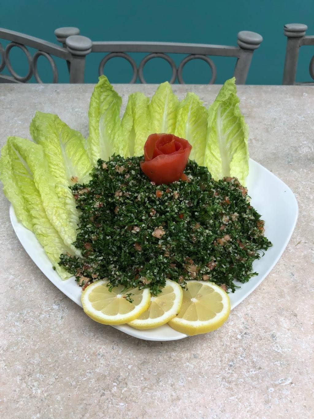 Papa Kebab | restaurant | 4819 E Busch Blvd Suite 101, Tampa, FL 33617, USA | 8135706656 OR +1 813-570-6656