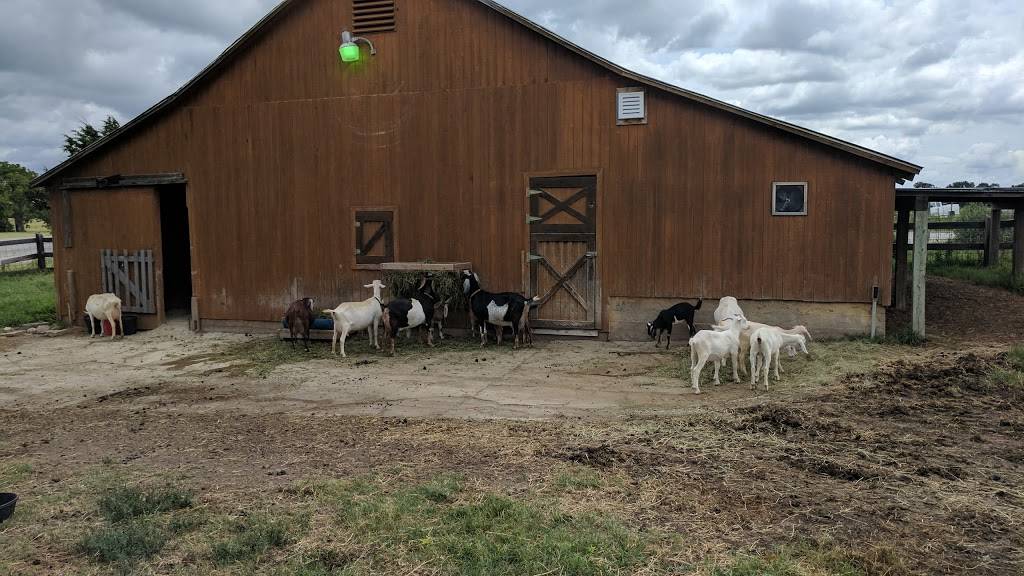 Elderslie Farm | restaurant | 3501 E 101st St N, Park City, KS 67147, USA | 3162268862 OR +1 316-226-8862